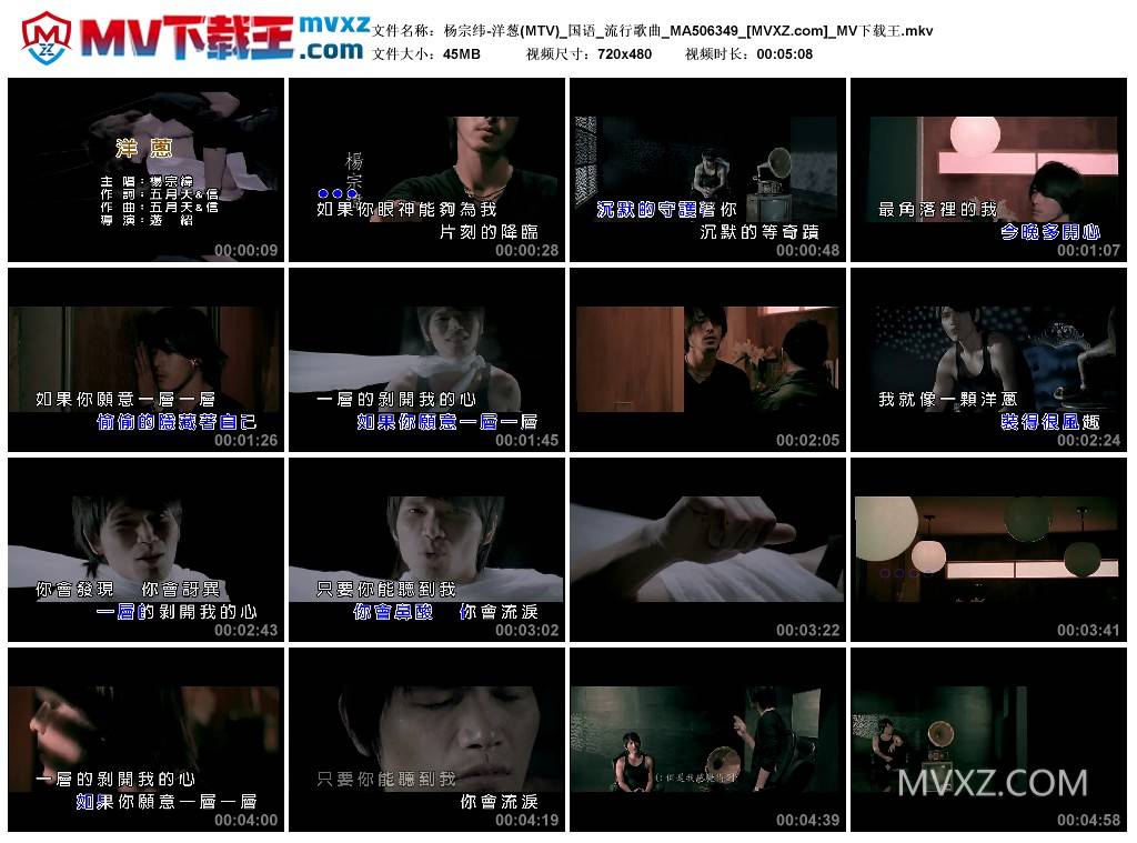 杨宗纬-洋葱(MTV)_国语_流行歌曲_MA506349